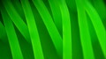 Green 1