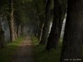 tunel