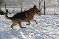 još malo vukov&hellip;