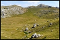 podinarje