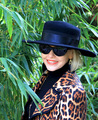 Leopard i bamb…