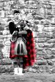 Scottish patte…