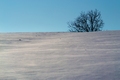 "Snježna &hellip;