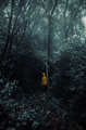 Foggy and mood…