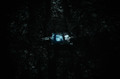 Dark...