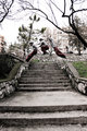 Art of Precisi…